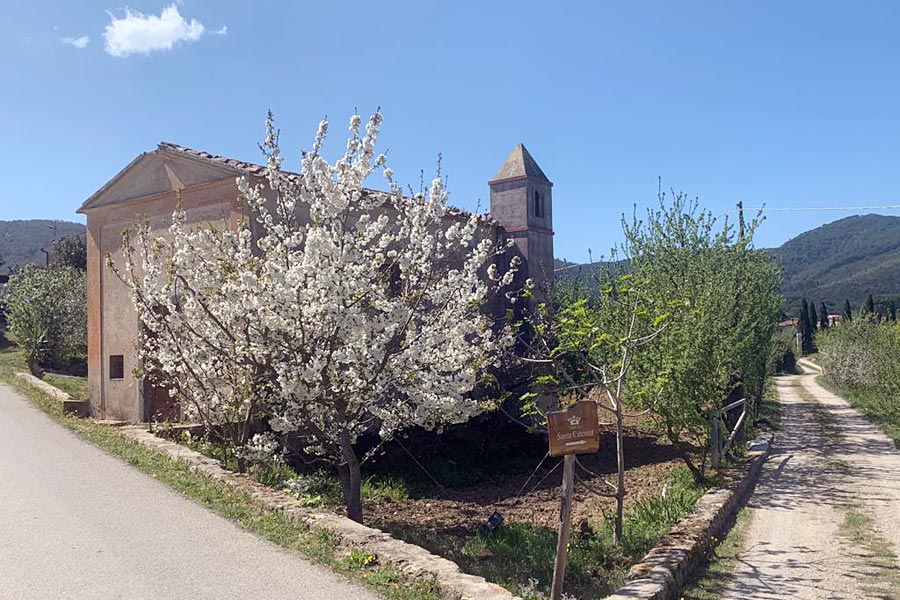 Chiesa di Santa Caterina, Elba