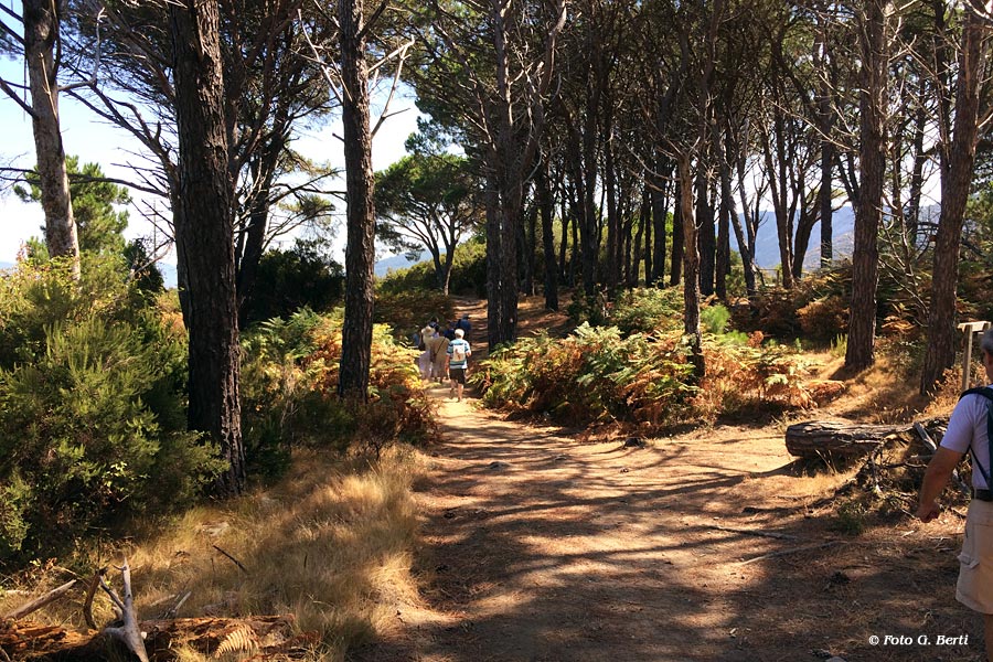 Isola d'Elba